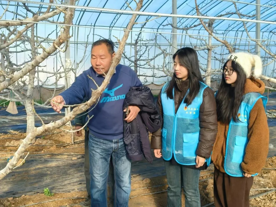 太阳集团2007网站